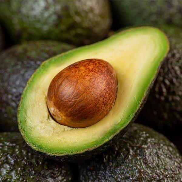 Avocado